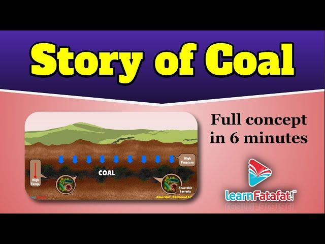 Story of Coal | Class 8 Coal And Petroleum - LearnFatafat