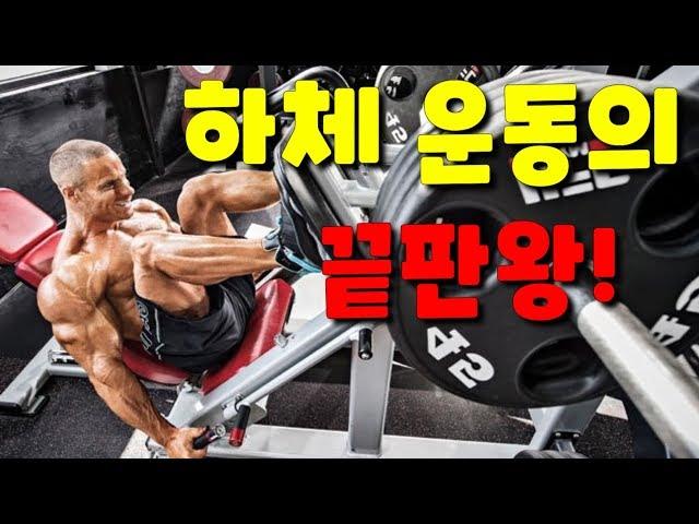 레그프레스(Leg Press)이 영상 하나면 됩니다!-하체운동,다리운동