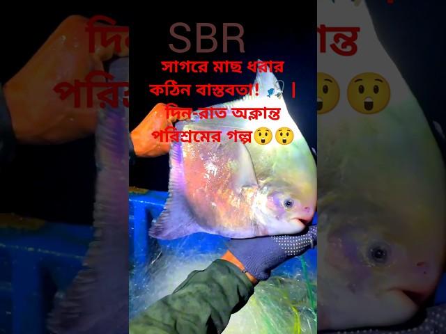 সাগরে মাছ ধরার চ্যালেঞ্জ! রাতদিন পরিশ্রমের বাস্তব চিত্র | সমুদ্রের জীবন | Fishing in the Sea