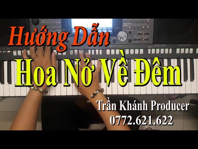 Hoa Nở Về Đêm - ORGAN Đệm Hát | Trần Khánh