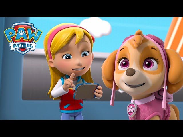 A Katie lidera a Patrulha Pata para parar os gatos que ladram e muito mais! - PAW Patrol Português