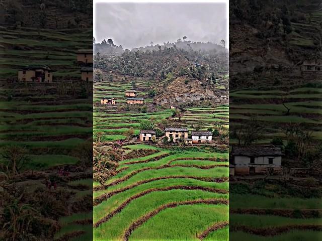 Simply The Best Nepali Mountain Village || Beautiful Place In Nepal || Nepal View