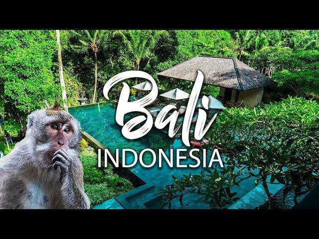 EPIC Jungle Villa in Bali, left me Speechless! | Authentic Balinese food