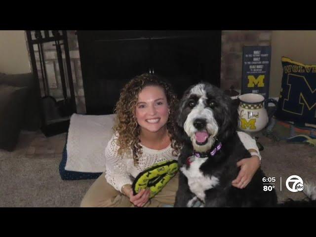 Teacher accuses Ann Arbor principal of stealing dog she was encouraged to adopt