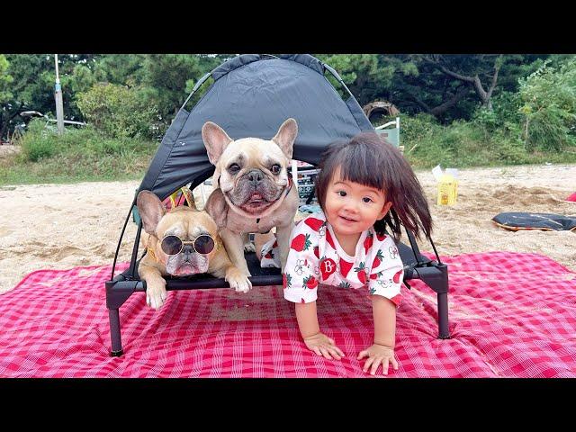 Our Dogs And Baby Go For A Picnic On A Deserted Island **With A Surprise