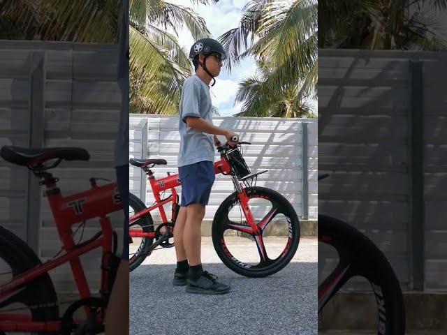 Electric Bicycle e-Bike Review 电动脚车 - StonBike(Bike-LAN2603N)