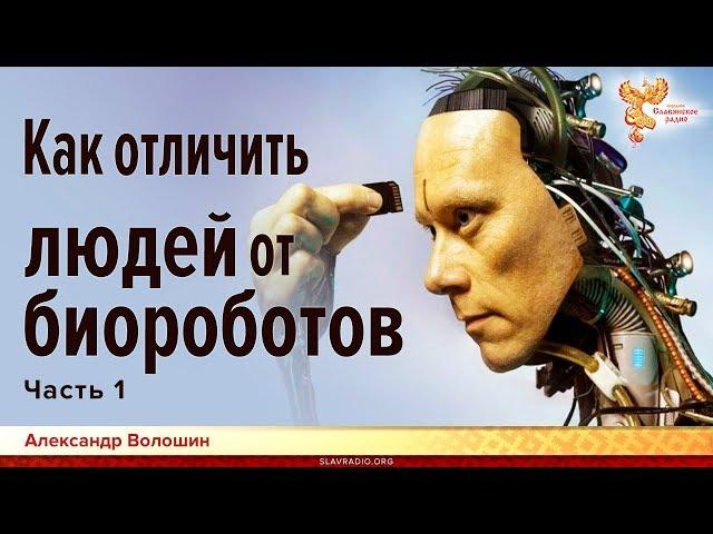 Как различать людей и биороботов. Александр Волошин. Часть 1