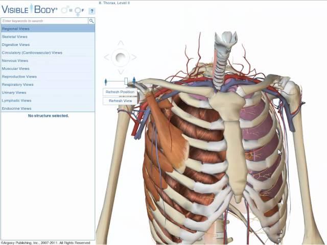 Visible Body Enhanced: Short Tutorial