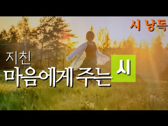 [시 모음] 5편 정호승| 류시화 |문태준 |도종환|릴케#책읽는라디오s