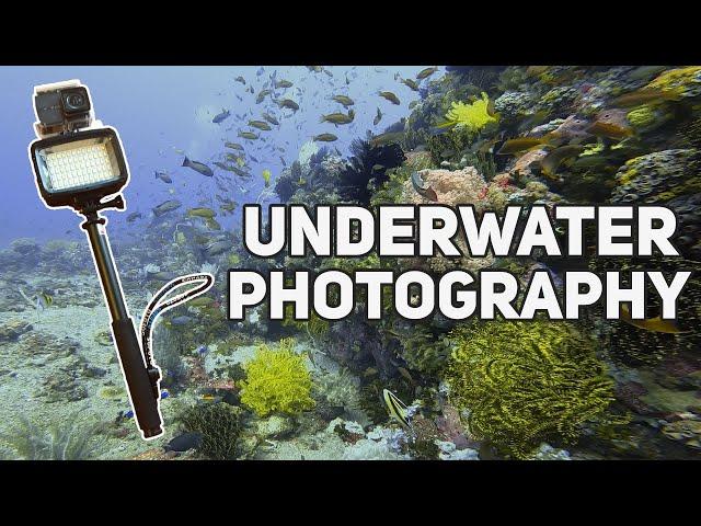 Affordable Underwater Photography Equipment