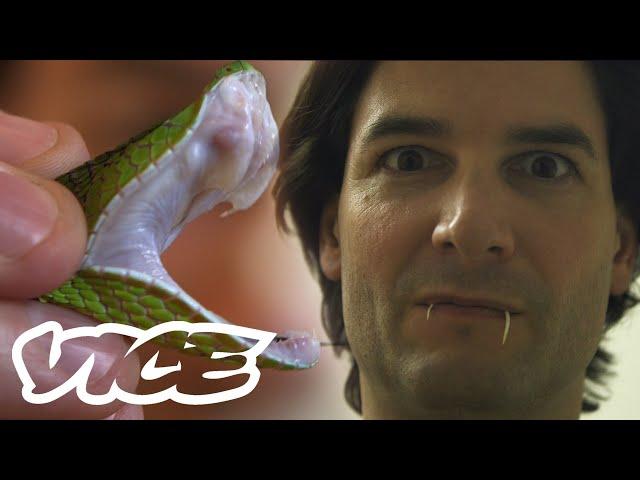 Getting High on Snake Venom