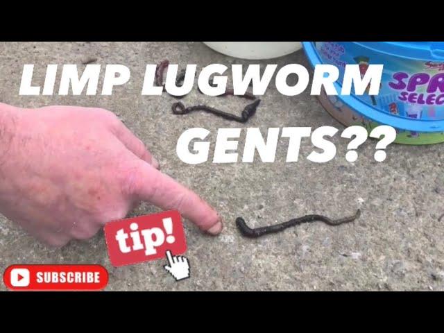 LIMP LUGWORM GENTS??-TOP TIP FOR LIVENING YOU’RE LUG-BASSMANS BOUNTY BITES SERIES