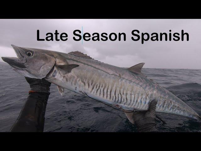 Late Season Spanish