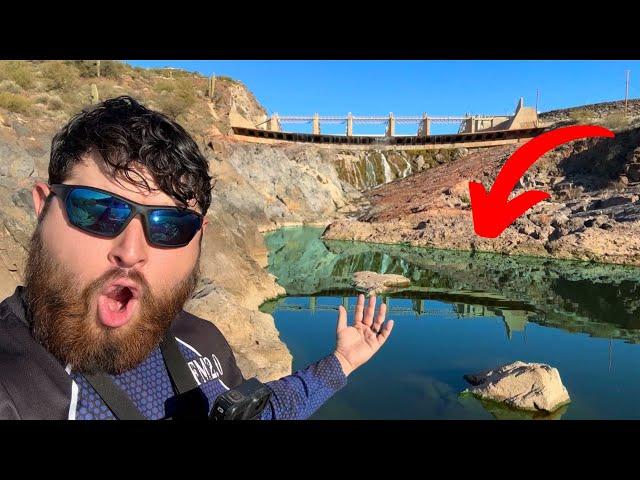 What Fish Live at the Bottom of This Dam? (Unexpected)