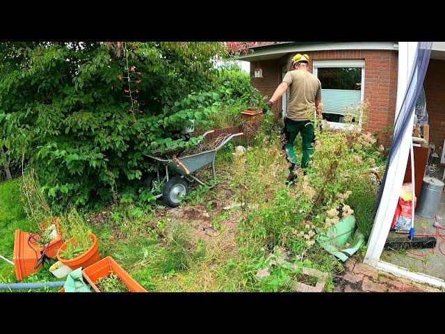 TRANSFORMING An Overgrown Yard That Has Been NEGLECTED For FOUR YEARS