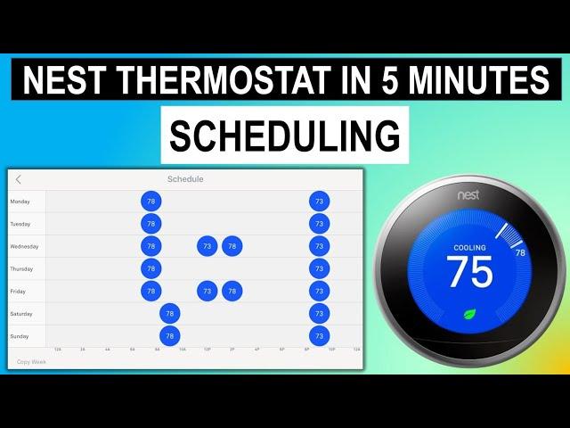 Nest Thermostat in 5 Min: Scheduling