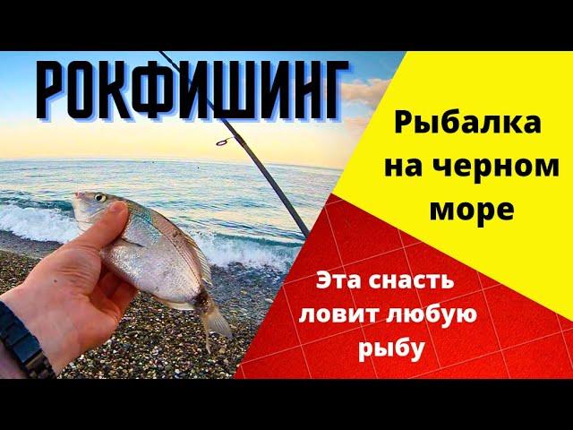 Как ловить на черном море? ЭТА СНАСТЬ ЛОВИТ ЛЮБУЮ РЫБУ! Спиннинг для начинающих. Морская рыбалка.