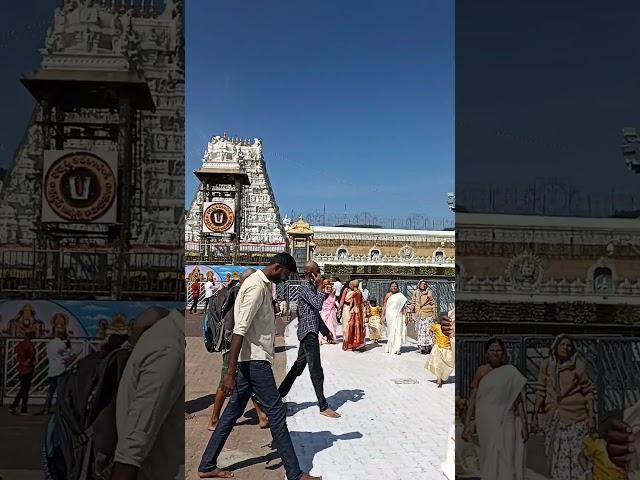 Tirupati || Tirumala Tirupati #tirupati