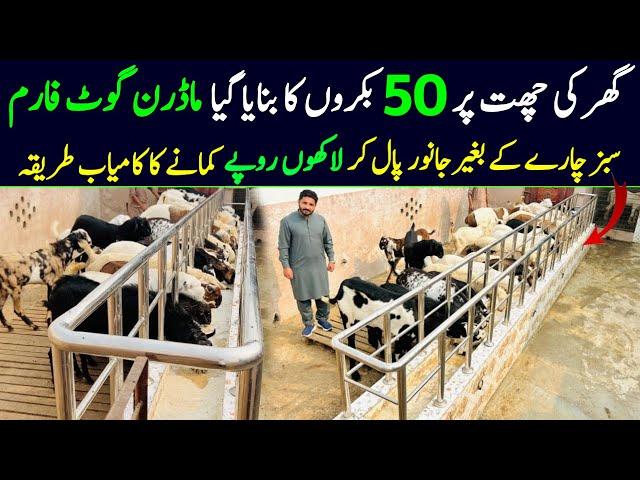 goat farming business in pakistan 2024 | goat farming business plan | Modern Goat farm |