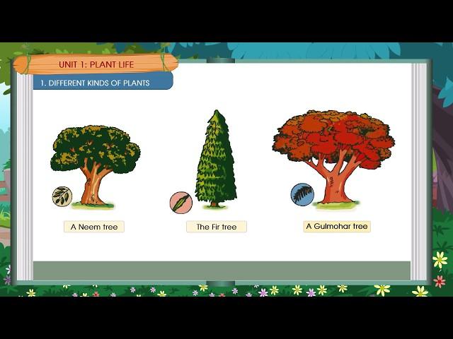 ORANGE LEAF PUBLISHERS | CLASS 1 | TERM 1 CH 1 | SEM 1 CH 1 | SCIENCE | DIFFERENT KINDS OF PLANTS