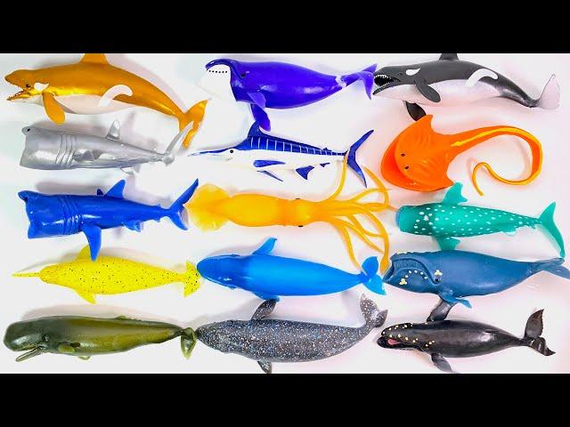 WHALES & Co. BIG Complete Set "unboxing" Squishy DeAgostini