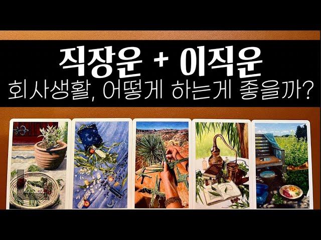 #직장운 타로 / 현재의 운과 앞으로 어떻게 하면 좋을지 #이직운