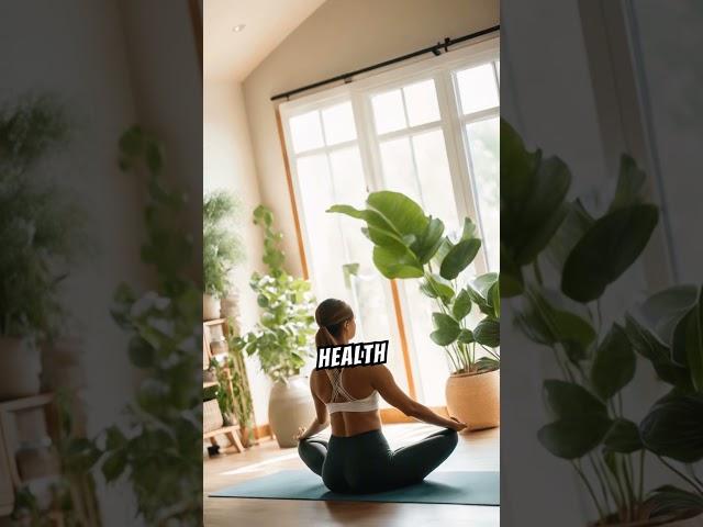 Welcome to Home Helper Hub: Your Ultimate Guide to a Better Home and Life!