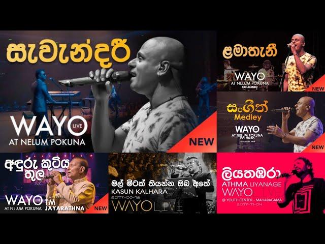 Hits Of Wayo Band️‍ | Best Live Performance Collection  | MR GSS