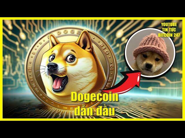 Vì sao Dogecoin dẫn đầu thị trường, các meme coin tăng trưởng mạnh