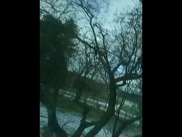 My awesome time lapse video !