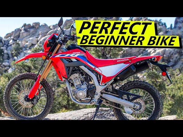 2022 Honda CRF300L Comprehensive Review (Best Entry Level Bike?)