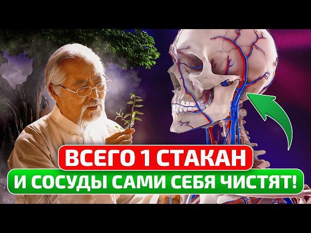 Дожить до 107 лет поможет чистка сосудов! ПРОСТОЙ рецепт на 100% ИЗБАВИТ от бляшек и тромбов!