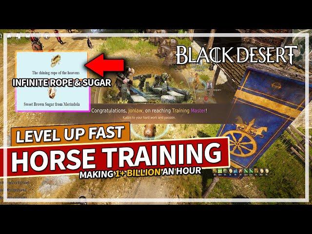 Level Up Horse Training Fast & Make Billions of Silver An Hour in Black Desert