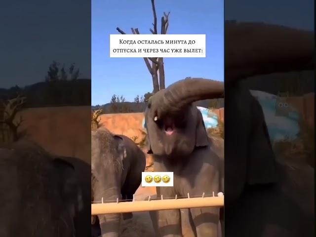 Хочу в отпуск! Индия ждёт! #гидпоиндии #индия #индия2023