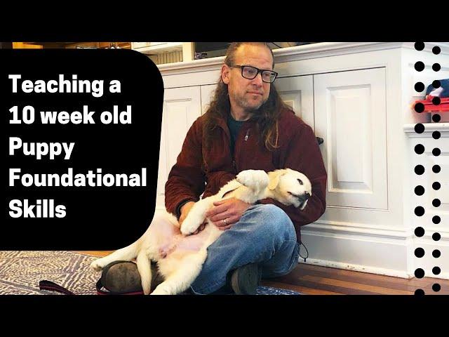 Teaching a 10 week old Puppy Foundational Skills