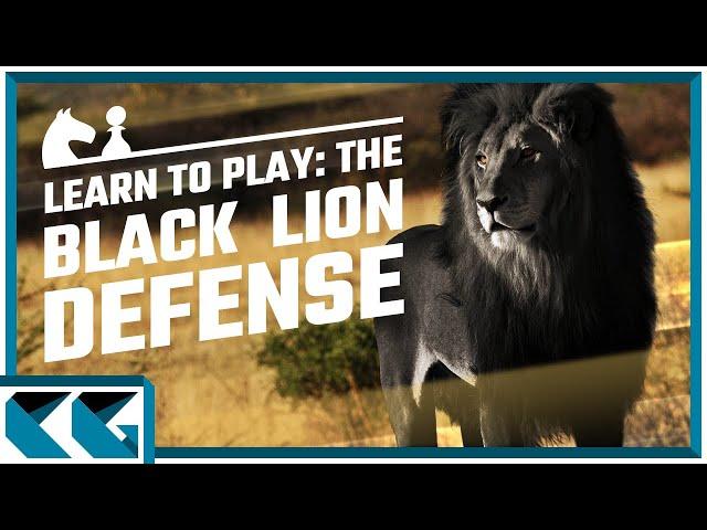 Chess Openings: Learn to Play the Black Lion Defense!