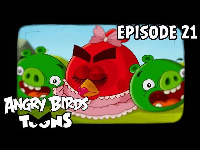 Angry Birds Toons | Hypno Pigs - S1 Ep21