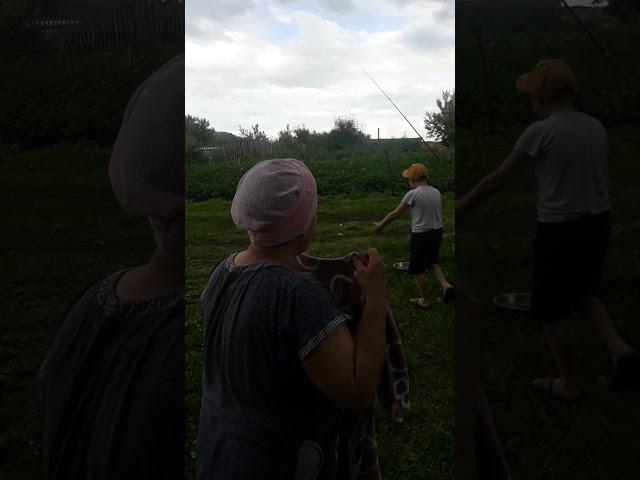 на ваське наловили карасей с племяшками