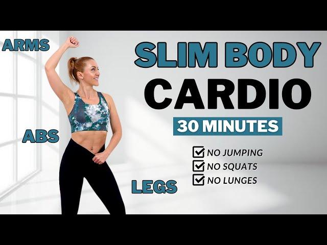 Burn Arm + Leg + Belly Fat30 Min Aerobics WorkoutAll StandingNo Squats/ No LungesNo Repeat