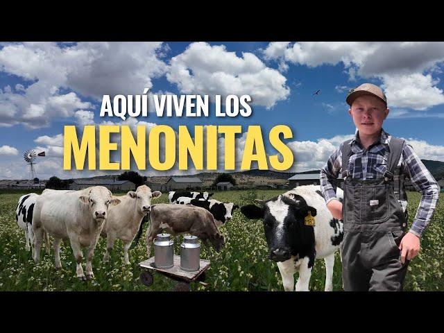 "UN RECORRIDO POR EL CAMPO MENONITA DE LA LAGUNA DE VALDERRAMA SOMBRERETE"