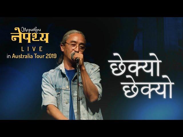 Nepathya - Chhekyo Chhekyo (छेक्यो-छेक्यो) | Live in Nepathya Australia Tour 2019