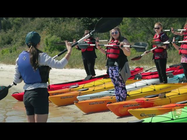 Kayaking 101: Explore the Seashore in an Exciting Way