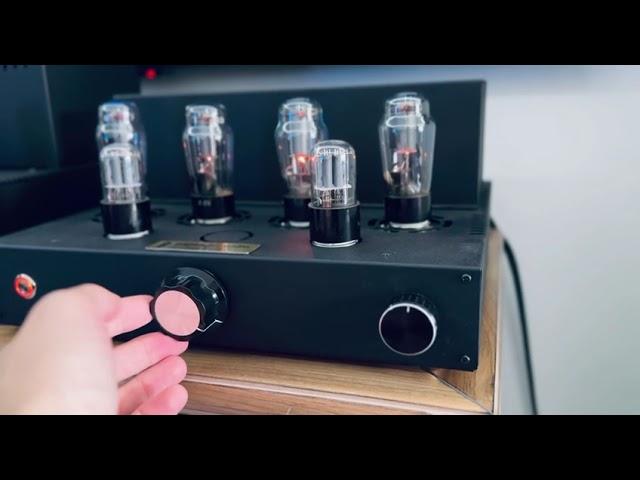 Tube amplifier 6F6S Cobra Handcrafted Hi-End 2x10W Amp Audiophile Audio Supermarket GLOBAL OPT
