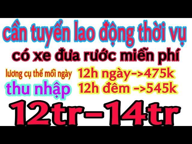 Tuyển Công Nhân Thời Vụ TẠI BÌNH DƯƠNG Thu nhập cao|Việc Làm Bình Dương Tập 62|Anh Bảy Miền Tây