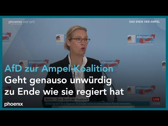 Bruch der Ampelkoalition: Statement der AfD-Fraktionsspitze nach Sondersitzung | 07.11.24