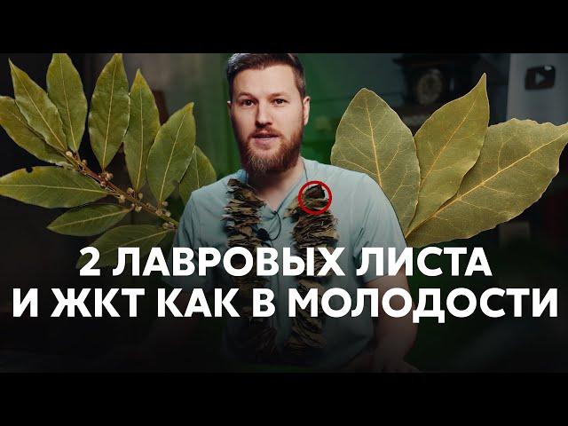 2 лавровых листа и  ЖКТ,  как в молодости