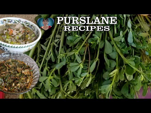 How To Cook Purslane || Loaded With Antioxidant || Higher With Omega3 Fatty Acid (Kantataba)