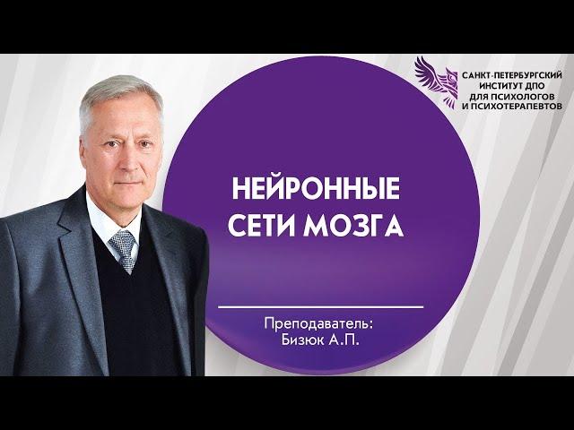 Нейронные сети мозга