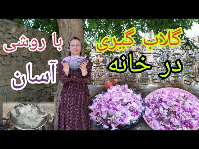 گلاب گیری به روش آسان در خانه و روزمرگی های من