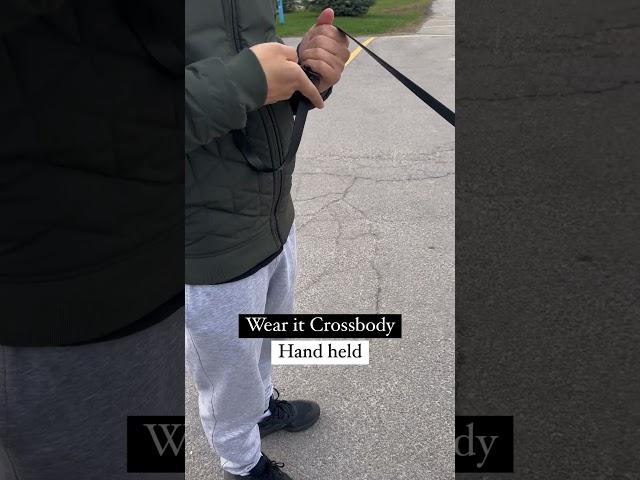 Stylish Hands-Free Waterproof Dog Leash | #dogtoys #puppytoys #interactivetoys #noseworktoys #shorts